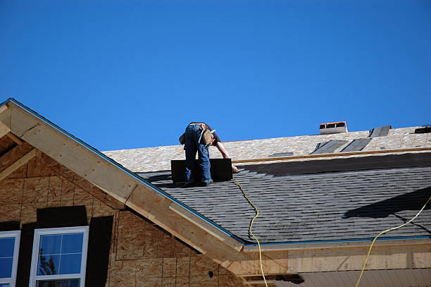 Best Roof Gutter Cleaning  in Mendenhall, MS