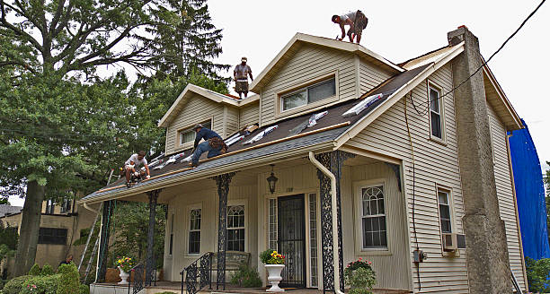 Best Roof Gutter Cleaning  in Mendenhall, MS